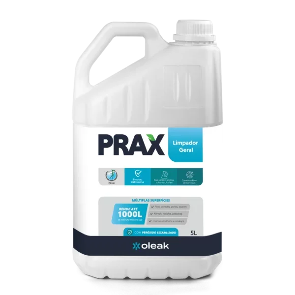 prax-limpador-geral-5l-600x600-badb521dcd6bd495e97a1d0ba5ab0.webp